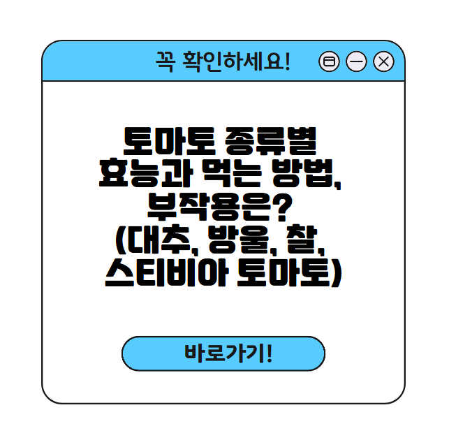 토마토 썸네일