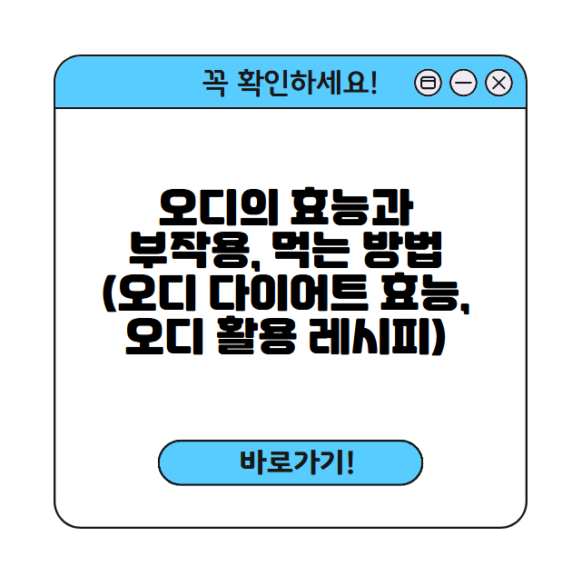 오디 썸네일