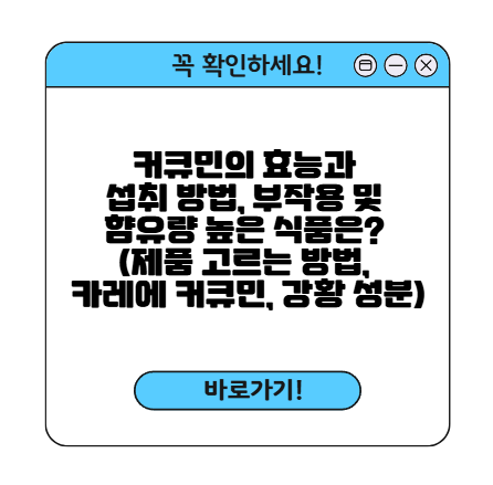 커큐민 썸네일