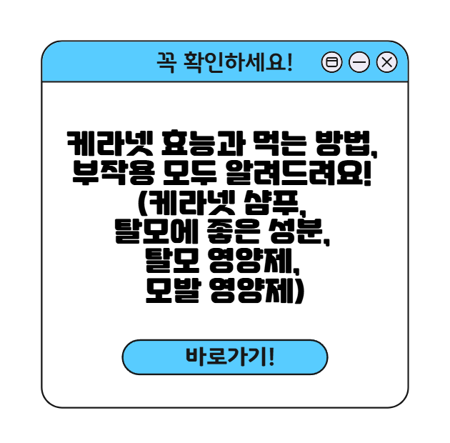 케라넷 썸네일